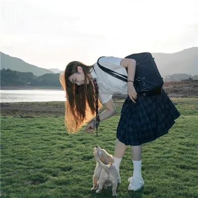 帕洛玛之旅